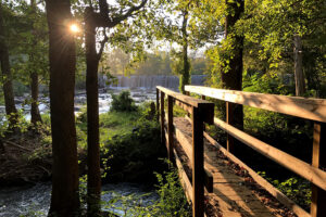 Haw River Trail