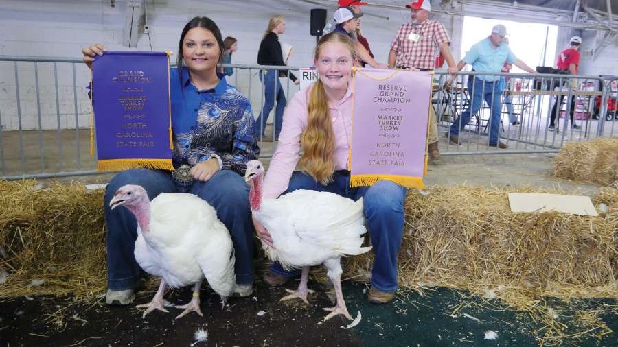 Each year, 200 students from 5 to 18 years old raise and show market turkeys at the N.C. State Fair as part of the Youth Market Turkey Show.