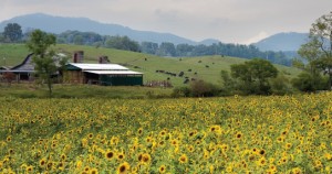 Haywood County Mountain Research Farm
