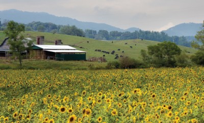 Haywood County Mountain Research Farm