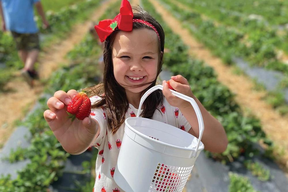 Whitaker Farms in Climax invites customers to the farm to purchase their produce, flowers and baked goods from their on-farm bakery.