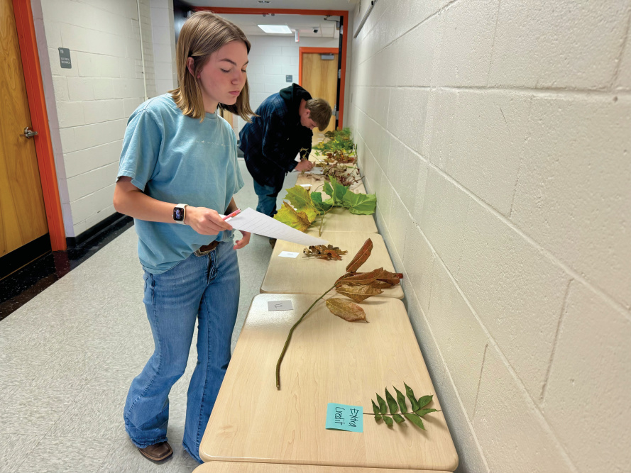 NCFA's Forestry Course