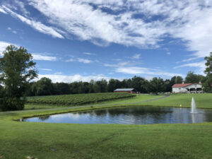 Laurel Gray Vineyards