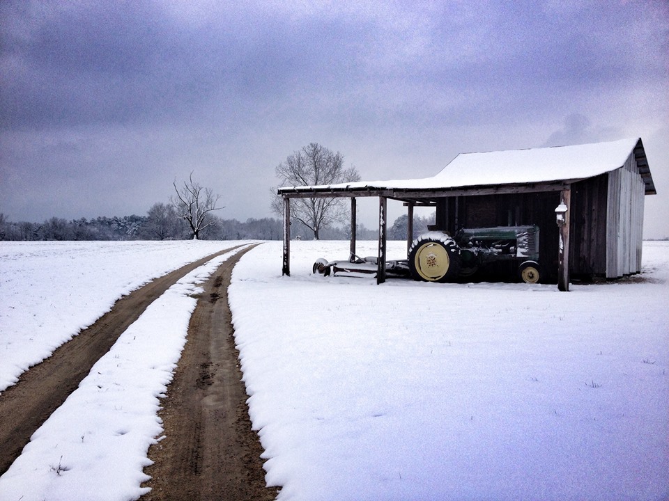 NC Field Family Photo Contest - Modern Fields Winner
