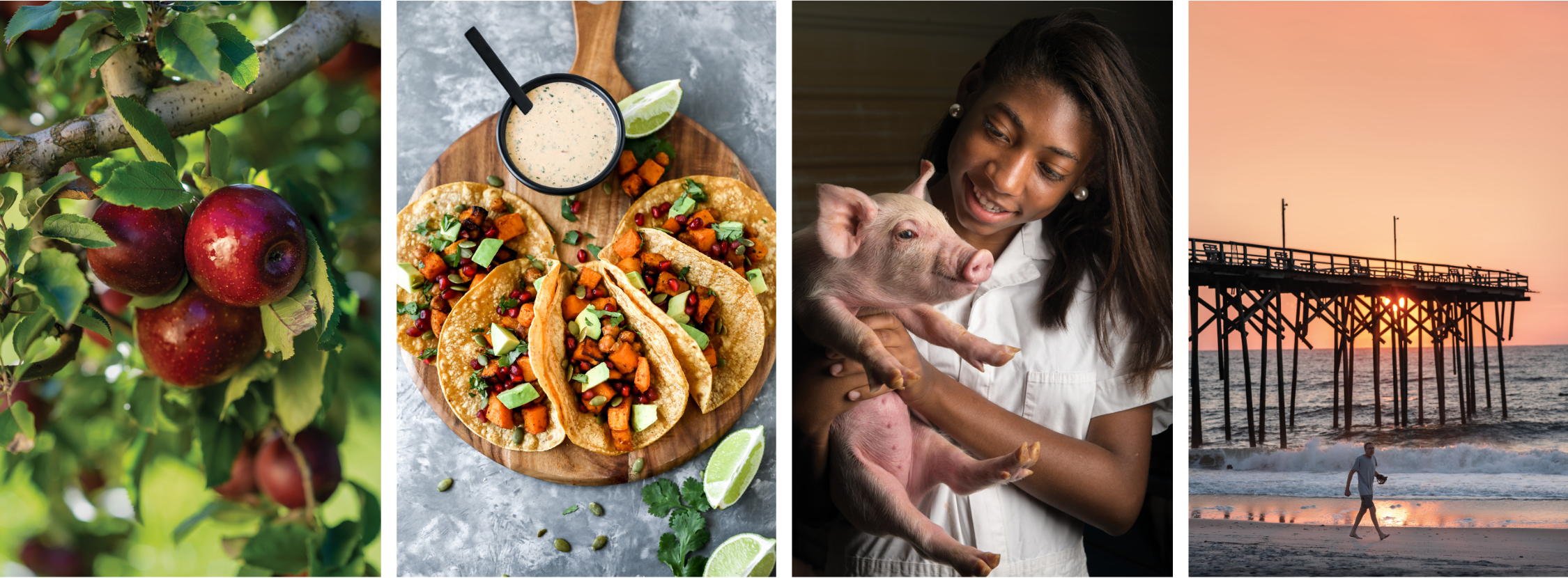 Photos from North Carolina Field & Family magazines