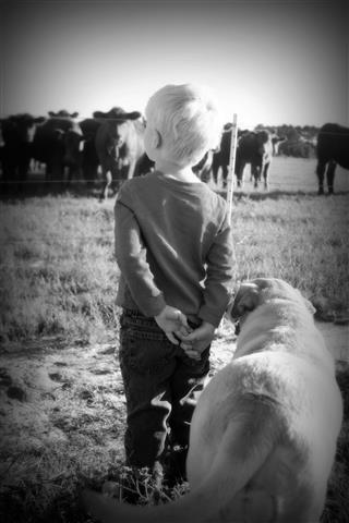 first place photo contest winner