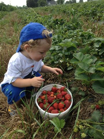 third place photo contest