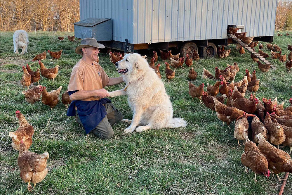 Alamance County, NC farm