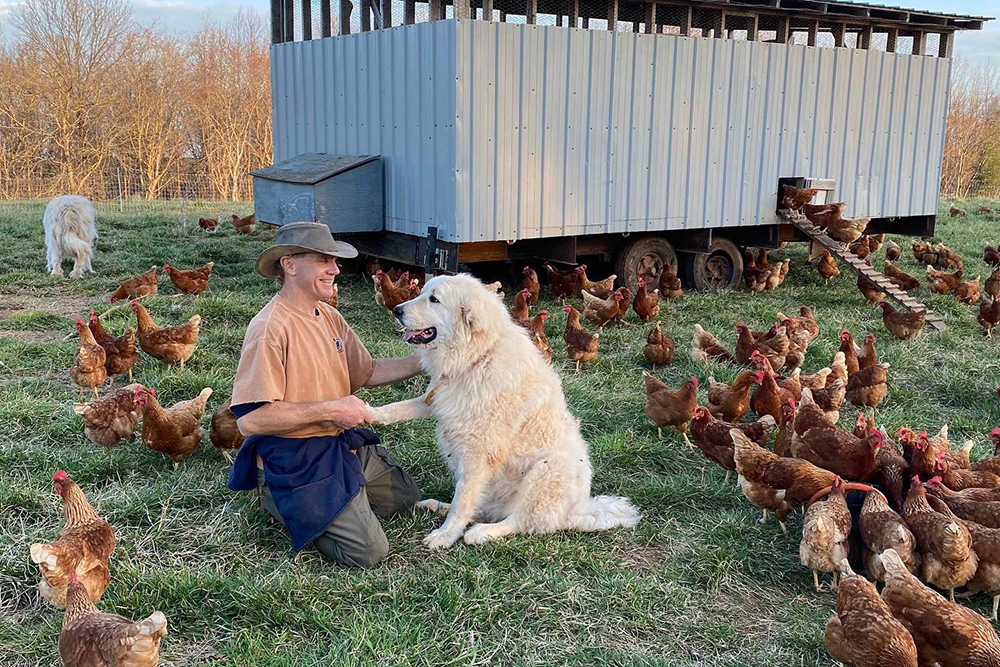 Reverence Farms is an Alamance County agritourism farm