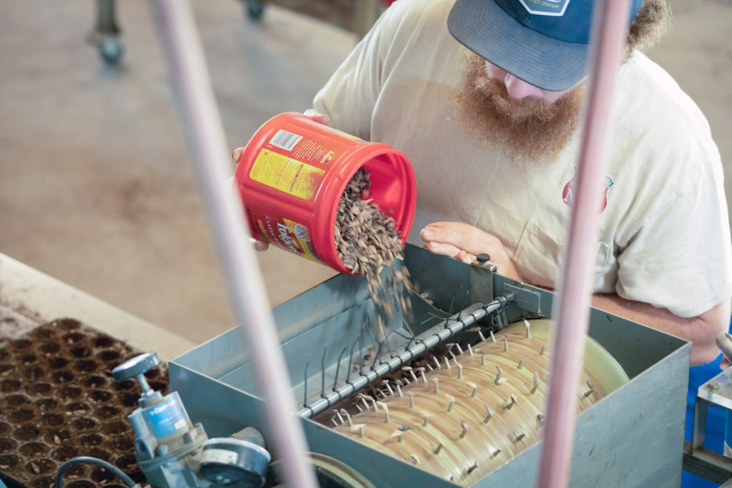 Seed cleaning process