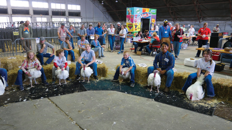 Each year, 200 students from 5 to 18 years old raise and show market turkeys at the N.C. State Fair as part of the Youth Market Turkey Show.