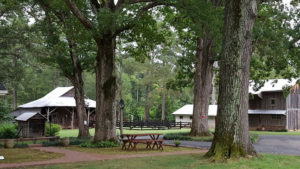 NC Field Family Photo Contest - Trees SecondPlace