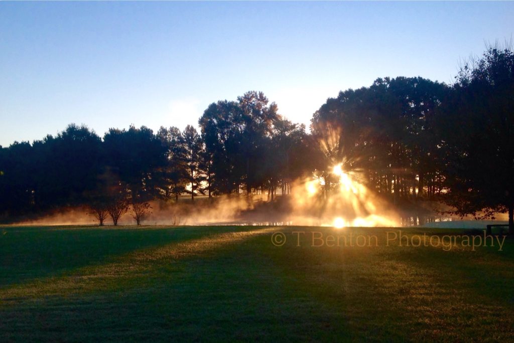 NC Field Family Photo Contest - Trees Third