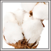 Gwynn Valley Cultivates Children’s Farm Understanding