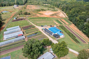 seven sisters collard greens farm