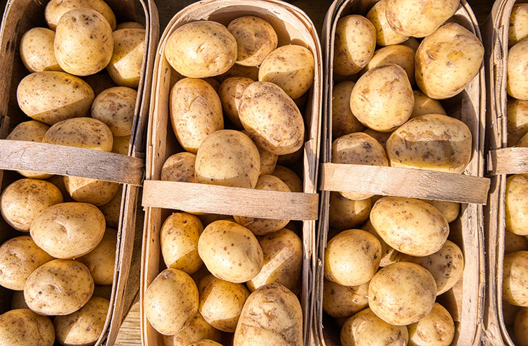 North Carolina potato facts