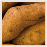 Fann Can Be A Blur On The Farm