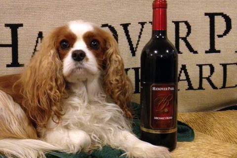 hanover park vineyard NC