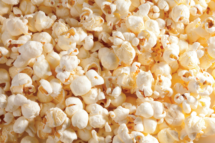 Shallowford Popcorn Farms