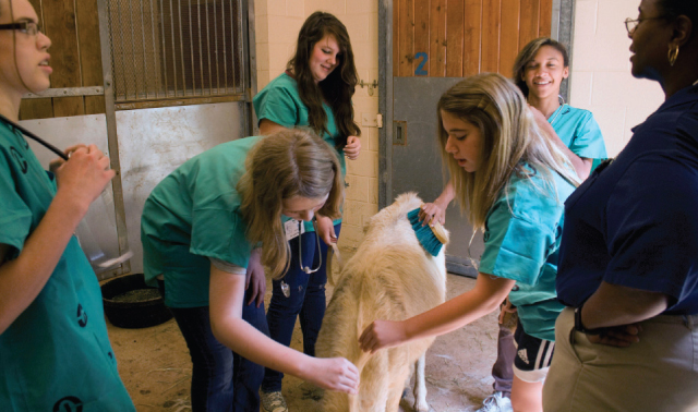 Vet Camp at North Carolina Zoo