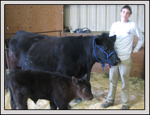 Colin Brickhouse with his cow Amy and calf Rocky at Pasquotank County Schools’<br /> Wake Up to Ag Day. 
