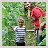 Lincoln County Farm Bureau YF&R member Brandi Wyant and her daughter, Lucy, helped harvest produce for Ashe Outreach Ministry’s Outgrow Hunger program.