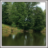 Farm Ponds Are More Than Just Water