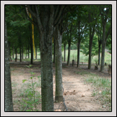 Farm Ponds Are More Than Just Water