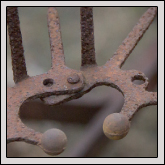 Rutherford County Farm Bureau board member Joe McDaniel uses many tools to raise cotton, wheat, corn and oats Rutherford County Farm Bureau board member Joe McDaniel uses many tools to raise cotton, wheat, corn and oats