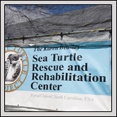 Sea Turtle Rescue and Rehabilitation Center Gwynn Valley Cultivates Children’s Farm Understanding