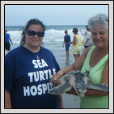 People helping sea turtles Gwynn Valley Cultivates Children’s Farm Understanding