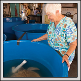 Jean Beasley Gwynn Valley Cultivates Children’s Farm Understanding